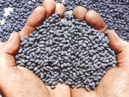 Complete the inspection of seed samples in Amravati division | अमरावती विभागातील बियाणे नमुन्यांची तपासणी पूर्ण