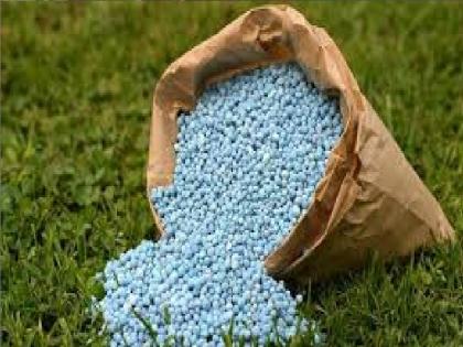 Action will be taken if uncertified fertilizers seeds and pesticides are sold | अप्रमाणित खते, बियाणे विकाल तर खबरदार, कोल्हापूर जिल्ह्यात १३९ दुकानांवर अप्रमाणितबाबत कारवाई