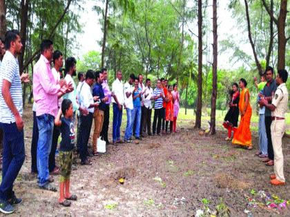 Planting of seed's near sea face | समुद्रकिनारी ताडबियांचे रोपण, पक्षी अभ्यासक, सर्पमित्रांनी दिली माहिती