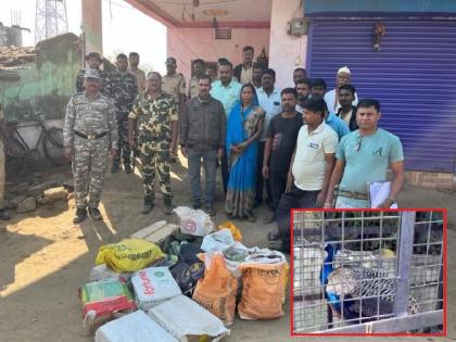 Four accused arrested in wildlife organ trafficking case at gondia, 21 lakhs cash seized | वन्यप्राणी अवयव तस्करीप्रकरणी चार आरोपी अटकेत; मोठ्या प्रमाणात रोख आढळल्याने रॅकेटची शंका