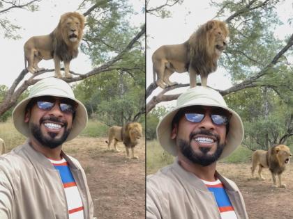 man taking selfie in front of lion see what happens next video goes viral on internet | Viral Video: सिंहासोबत सेल्फी घेण्याच्या प्रयत्नात होता माणूस, सेल्फी राहिला बाजूला पुढे घडलं धक्कादायक