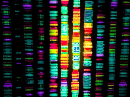 Genome sequencing will now take place at Mayo Hospital in Nagpur! | आता नागपुरातील मेयो रुग्णालयात होणार ‘जिनोम सिक्वेंसिंग’!