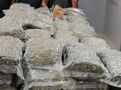 Seven quintals of cannabis Seized in Malkapur | मलकापुरात सात क्विंटल गांजा पकडला