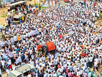 No government order in 'Mahadevi' elephant case, meeting in Mumbai tomorrow: Chief Minister | ‘महादेवी’ हत्तीण प्रकरणात शासनाचा आदेश नाही, उद्या मुंबईत बैठक : मुख्यमंत्री