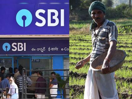 SBI Vs Farmer: SBI rejects NOC for 31 paisa Crop Loan Charge; Gujarat Farmer Reached the High Court | SBI Vs Farmer: शेतकऱ्याला नडला त्याला...! एसबीआयने ३१ पैशांसाठी एनओसी अडविली; उच्च न्यायालयात पोहोचला, पुढे...