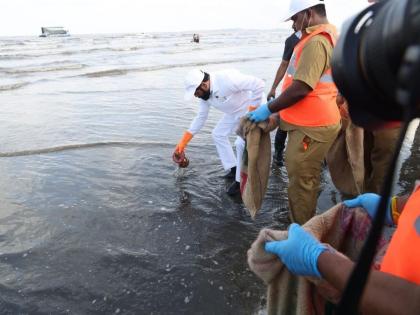 Will protect the sea from pollution, garbage! | प्रदूषण, कचऱ्यापासून समुद्राचे संरक्षण करणार!