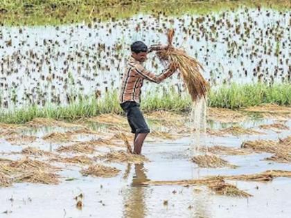 Damaged 68 thousand farmers deprived of help | नुकसानग्रस्त ६८ हजार शेतकरी मदतीपासून वंचित