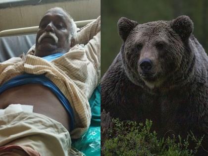 A bear attacked a laborer who had gone to collect tendu leaves in bhandara | तेंदूपत्ता संकलनासाठी गेलेल्या मजुरावर अस्वलाचा हल्ला