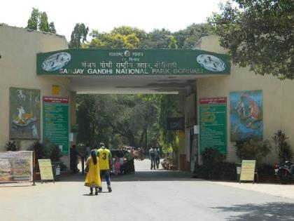 Fake website in the name of Sanjay Gandhi Park | संजय गांधी उद्यानाच्या नावे बनावट वेबसाइट