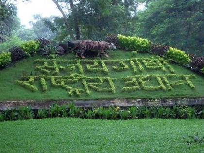 Electronic Bagby in Sanjay Gandhi Garden | संजय गांधी उद्यानात इलेक्ट्रॉनिक बग्गी