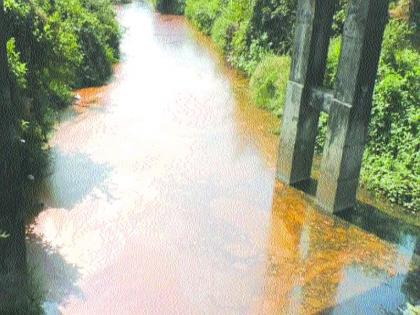 Waldhuni will revive the river | वालधुनी नदी पुनरुज्जीवित करणार