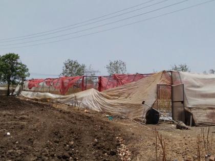 water scarcity situation in Washim district shade net destroyed | वाशिम जिल्ह्यात शेडनेट’लाही बसला भीषण पाणीटंचाईचा फटका!