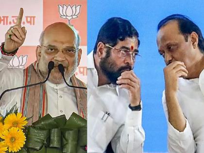 This time, the government of Mahayuti and in 2029 BJP on its own; Amit Shah's statement stirs excitement in Ajit Pawar, Shinde group  | यावेळी महायुतीचे अन् २९ मध्ये भाजपचे स्वबळावर सरकार; अमित शाहंच्या वक्तव्याने अजित पवार, शिंदे गटात खळबळ 