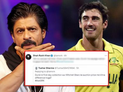 shah rukh khan reply to fan who asked about difference between dunki movie collection and mitchell starc auction price | Dunki : "डंकीची कमाई आणि मिचेल स्टार्कच्या लिलावाच्या किंमतीत किती फरक असेल?" चाहत्याच्या प्रश्नावर शाहरुखचं भन्नाट उत्तर