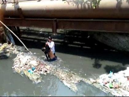 The body of 'his' removed from the drain; Local casualties: Failure to save lives | नाल्यातून काढला ‘त्या’चा मृतदेह; लोकल अपघात : जीव वाचवण्याचा प्रयत्न फोल