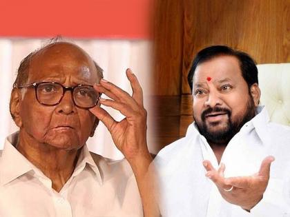 balasahebanchi shiv sena shinde group mla shahji bapu patil again criticised ncp sharad pawar over not supporting in bad days | Maharashtra Politics: “आयुष्यभर ते शल्य मला बोचत राहील”; १९९९ मधील किस्सा सांगत शहाजीबापूंची शरद पवारांवर टीका