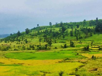 3 bodies found in an accident-hit car; The incident was revealed by a woman grazing cattle | अपघातग्रस्त गाडीत आढळले ३ मृतदेह; गुरे चारणाऱ्या महिलेमुळे उघडकीस आला प्रकार 3 bodies found in an accident-hit car; The incident was revealed by a woman grazing cattle | अपघातग्रस्त गाडीत आढळले ३ मृतदेह; गुरे चारणाऱ्या महिलेमुळे उघडकीस आला प्रकार