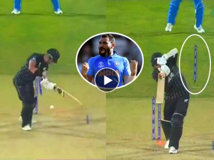 Ind vs NZ Live Updates Mohammed Shami clean bowled batsman 2 wickets in 2 balls world cup 2023 viral video | Video: 'दांडी - यात्रा'... 'सुपरफास्ट' शमीच्या दोन चेंडूत दोन विकेट्स, स्टंपच्या कोलांट्या उड्या !