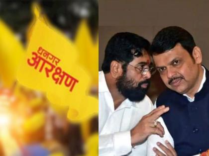 65 MLAs will resign if Dhangar Reservation GR is passed; Mahayuti MLA's warning to Eknath Shinde government | धनगर आरक्षणाचा जीआर निघाला तर ६५ आमदार राजीनामा देणार; महायुतीच्या आमदाराचा इशारा