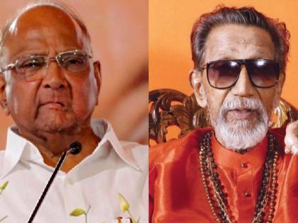 Sharad Pawar, in place of Balasaheb - Bala Nandgaonkar | शरद पवार आम्हाला बाळासाहेबांच्या जागी - बाळा नांदगावकर 