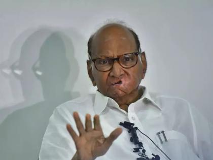 Sharad Pawar will conquer every corner of Maharashtra, we will have our own government in the state | महाराष्ट्राचा कानाकोपरा पिंजून काढणार, राज्यात आमचेच सरकार असेल : शरद पवार