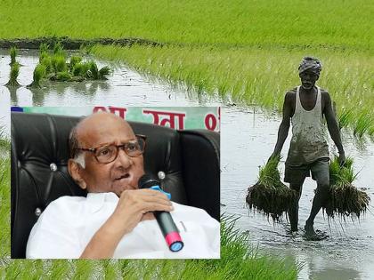 "Wherever the word 'caste' comes, Sharad Pawar becomes active. Pawar all his life..'' criticism by BJP | "जिथे 'जात' शब्द आला, तिथं शरद पवार अ‍ॅक्टिव्ह होतात, पवारांनी आयुष्यभर..’’ भाजपाची बोचरी टीका