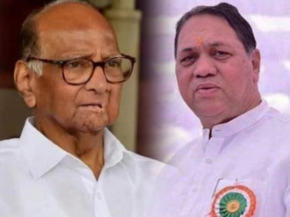 Sharad Pawar has not gone anywhere he is our leader Dilip Valse Patil | शरद पवार यांना सोडून कुठेही गेलेलो नाही, ते आमचे नेते - दिलीप वळसे पाटील