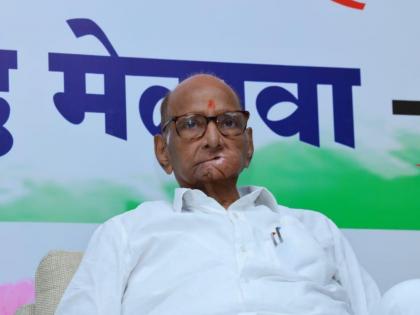 Who is the chief ministerial candidate from Mahavikas Aghadi? Sharad Pawar spoke clearly | Sharad Pawar: महविकास आघाडीकडून मुख्यमंत्री पदाचा उमेदवार कोण? शरद पवार स्पष्टच बोलले