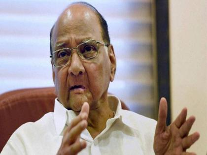 sharad pawar decisions are always right Baramati citizens firmly believe in Sharad Pawar decision | Sharad Pawar: "साहेबांचे निर्णय नेहमी योग्यच", शरद पवारांच्या निर्णयावर बारामतीकरांचा ठाम विश्वास