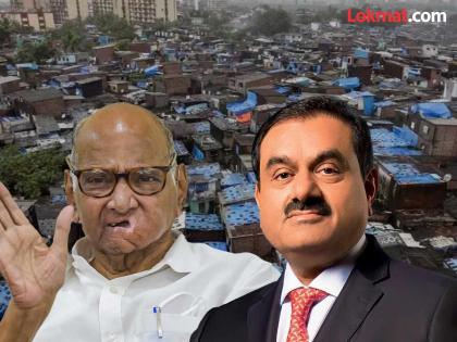 Maharashtra Assembly Election 2024 - Gautam Adani had no interest in Dharavi project, Sharad Pawar claim, Uddhav Thackeray and Congress dilemma | 'धारावी प्रोजेक्ट'मध्ये अदानींना इंटरेस्टच नव्हता; शरद पवारांनी विषयच निकाली काढला