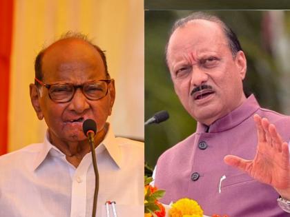 maharashtra assembly election ...therefore Maharashtra's position on 'GST' is not presented; Sharad Pawar targets Ajit Pawar | ...त्यामुळे महाराष्ट्राची ‘जीएसटी’ बाबतची भूमिका मांडली जात नाही; शरद पवार यांचा अजित पवार यांच्यावर निशाणा