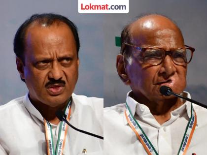 Uncles and nephews in the city to protect the fortress of Pimpri-Chinchwad | पिंपरी-चिंचवडचा गड राखण्यासाठी काका-पुतणे शहरात Uncles and nephews in the city to protect the fortress of Pimpri-Chinchwad | पिंपरी-चिंचवडचा गड राखण्यासाठी काका-पुतणे शहरात