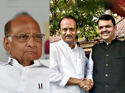 dcm devendra fadnavis react again on morning swearing statement of ncp chief sharad pawar | Maharashtra Politics: “सध्या तुम्हाला अर्धेच समजलेय, सर्व गोष्टी बाहेर काढणार”'; देवेंद्र फडणवीसांचे सूचक विधान