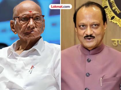 There is no problem for the Tutari group to take an example from Raj Thackeray says NCP MLA's open offer to ncp sharad pawar group | "राज ठाकरे यांच्याकडून तुतारी गटाने आदर्श घ्यायला हरकत नाही, जर...!" राष्ट्रवादीच्या आमदाराची खुली ऑफर There is no problem for the Tutari group to take an example from Raj Thackeray says NCP MLA's open offer to ncp sharad pawar group | "राज ठाकरे यांच्याकडून तुतारी गटाने आदर्श घ्यायला हरकत नाही, जर...!" राष्ट्रवादीच्या आमदाराची खुली ऑफर