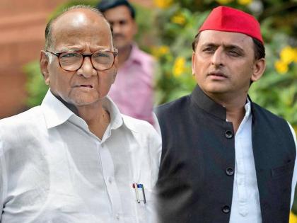 Sharad Pawar led NCP to contest in UP Elections 2022 with Akhilesh Yadav Samajwadi Party says Nawab Malik | UP Assembly Election 2022, Sharad Pawar: "राष्ट्रवादी अखिलेश यादवांच्या समाजवादी पक्षासोबत, योगींचं सरकार केवळ अहंकाराचं"