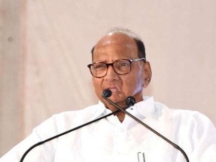 The bail of the person who tweeted offensively about Sharad Pawar was rejected | शरद पवार यांच्याविषयी आक्षेपार्ह ट्विट करणाऱ्याचा जामीन फेटाळला