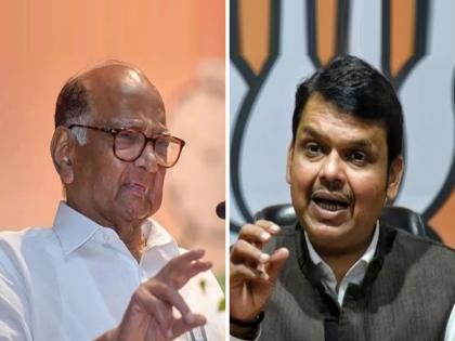 Aspirants flock to meet Pawar, Fadnavis | पवार, फडणवीस यांच्या भेटीसाठी इच्छुकांची तोबा गर्दी