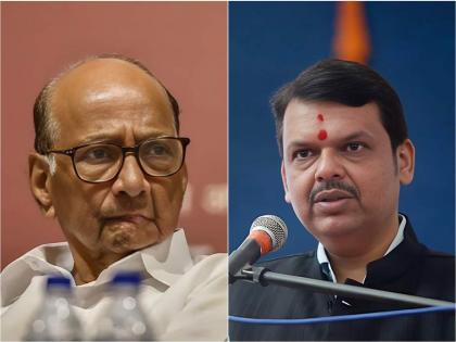 Devendra fadnavis is cultured commented on falsehood ncp leader Sharad Pawar s first reaction morning oath ceremoney ajit pawar | "देवेंद्र हे सुसंस्कृत, असत्याचा आधार घेऊन..," फडणवीसांच्या गौप्यस्फोटावर शरद पवारांची पहिली प्रतिक्रिया