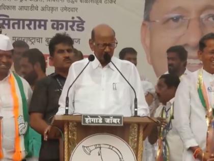 Maharashtra Assembly Election 2024 - It started raining during the speech, the election results will be good, Sharad Pawar statement | भाषण करताना सुरू झाला पाऊस, निवडणुकीचा निकाल चांगला लागणार, शरद पवारांचं विधान