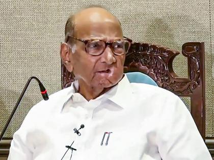 lok sabha election 2024 NCP did not have a suitable candidate for the post of Chief Minister at that time says Sharad Pawar | राष्ट्रवादीकडे त्यावेळी मुख्यमंत्रीपदासाठी योग्य उमेदवार नव्हता; शरद पवारांनी सगळंच सांगितलं