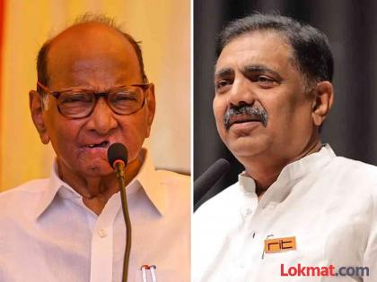 Maharashtra assembly vidhan sabha election 2024 Big News Dramatic developments in Mohol Will Sharad Pawar change the candidate | मोठी बातमी: शरद पवार 'या' मतदारसंघात उमेदवार बदलणार?; जिल्हाध्यक्षांच्या दाव्याने खळबळ