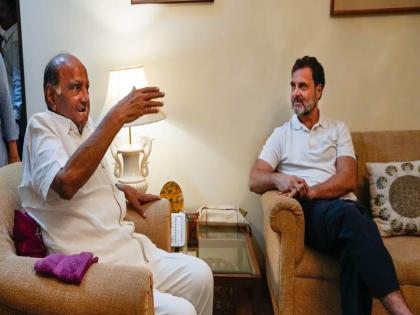 Sharad Pawar, Rahul Gandhi's scandals; 40 minutes of discussion in the capital on the progress of the 'India' front | शरद पवार, राहुल गांधींची खलबते; ‘इंडिया’ आघाडीच्या वाटचालीवर राजधानीत ४० मिनिटे चर्चा