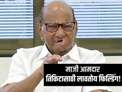 Maharashtra Vidhan Sabha elections 2024 Sharad Pawar will give the ticket to whom from Mohol constituency | कदम-क्षीरसागर... शरद पवार कुणाला देणार तिकीट? मोहोळमध्ये हालचाली वाढल्या