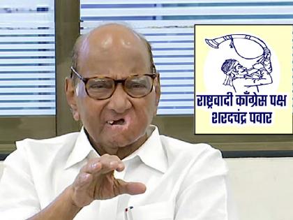 Sharad Pawar group has claimed five seats in Kolhapur district for the upcoming assembly | Kolhapur Politics: आगामी विधानसभेसाठी शरद पवार गटाने केला पाच जागांवर दावा, पवारांसोबत पुण्यात बैठक