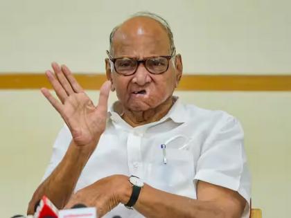 At present I have so many MLAs, the figure given by Sharad Pawar giving a rude answer | सध्या माझ्याकडे एवढे आमदार, खोचक उत्तर देत शरद पवारांनी सांगितला आकडा 