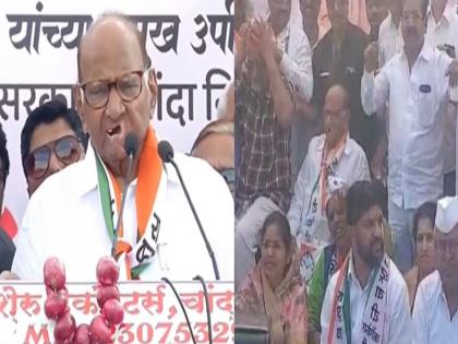 ncp chief Sharad Pawar attack on modi government over onion issue in maharashtra | आपल्या ताकदीमुळे दिल्लीचीही झोप उडाली असेल; कांदा प्रश्नावरून शरद पवारांचा हल्लाबोल