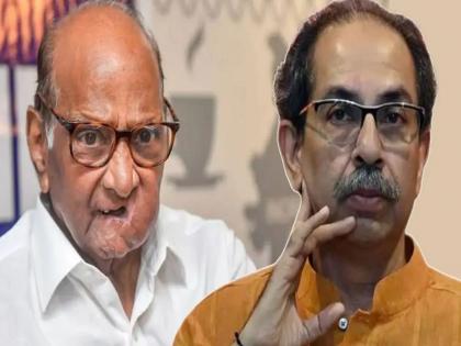 Maharashtra Assembly Election 2024 - Sharad Pawar NCP supports Congress candidate in Nanded North Constituency, the name of Uddhav Thackeray candidate Sangita Patil Dak was mistakenly taken in the Sabha | जाहीर सभेत झालेली चूक शरद पवारांनी सुधारली; ठाकरे गटाच्या उमेदवाराला दाखवला 'ठेंगा'