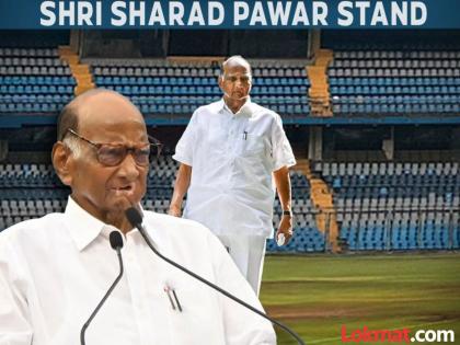 Wankhede Stadium: "I don't know why my name was included in all these names", what did Sharad Pawar say during the stand naming ceremony? | Wankhede Stadium: "या नावांमध्ये माझं नाव का घातलं मला माहिती नाही", शरद पवार स्टॅण्ड नामकरणावेळी काय बोलले? Wankhede Stadium: "I don't know why my name was included in all these names", what did Sharad Pawar say during the stand naming ceremony? | Wankhede Stadium: "या नावांमध्ये माझं नाव का घातलं मला माहिती नाही", शरद पवार स्टॅण्ड नामकरणावेळी काय बोलले?