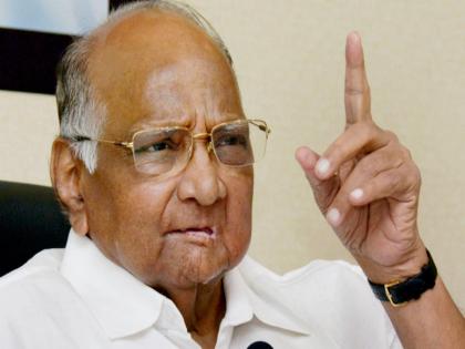 Lok Sabha Election 2019: Sharad Pawar's Eye on Gujrat | Lok Sabha Election 2019 : शरद पवार सेनेची गुजरातवर स्वारी !