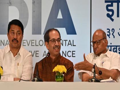 Like the Lok Sabha, the Maha Vikas Aghadi should be united in the Maharashtra Legislative Assembly Election - Sharad Pawar | विधानसभेला मविआ एकसंघ राहायला हवी, जर नाही राहिली तर...; शरद पवारांचं सूचक विधान